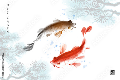 Two koi carps in water and pine tree branch. Traditional oriental ink painting sumi-e, u-sin, go-hua. Translation of hieroglyph - well-being