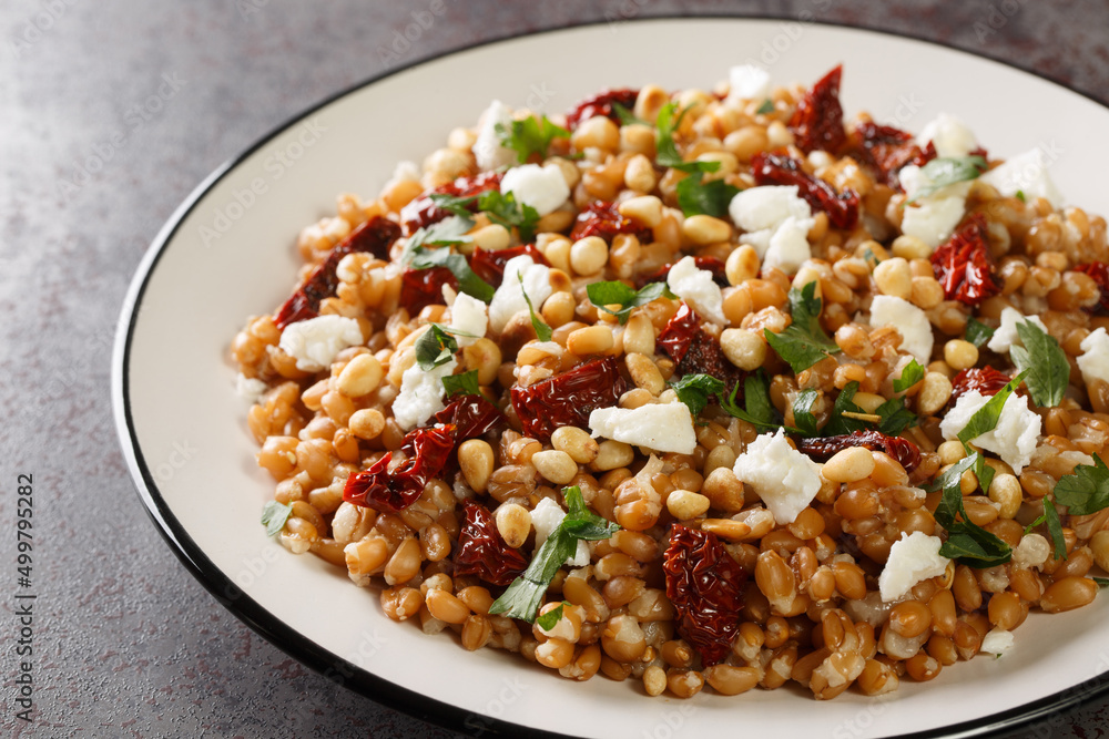 Homemade Healthy Farro Tomato Salad with Herbs close-up in a plate on the table. Horizontal Homemade Healthy Farro Tomato Salad with Herbs close-up in a plate on the table. Horizontal