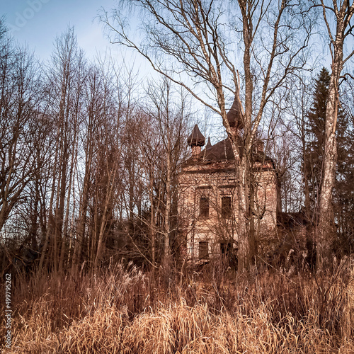 abandoned temple among the trees