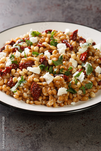 Dietary salad made from farro, feta, sun-dried tomatoes and pine nuts close-up in a plate on the table. Vertical