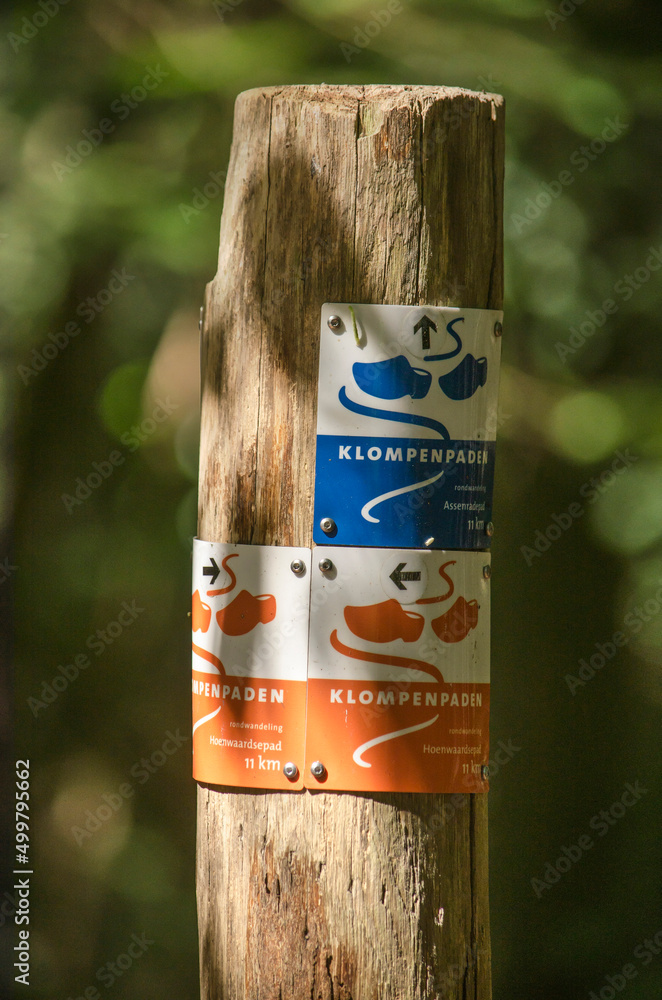 Hattem, The Netherlands, July 31, 2021: wooden pole with little signs indicating Klompenpad (clog path) hiking trails through the forest - obrazy, fototapety, plakaty 