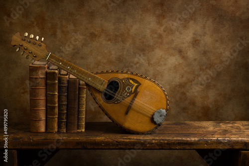 Old lute instrument on shelf photo