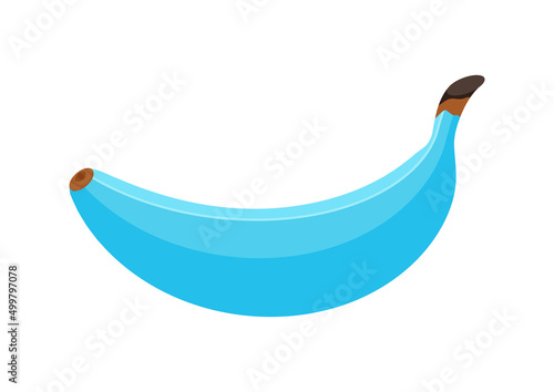 Blue banana fruit icon isolated on white background. Fresh blue tropical fruit vector illustration. Flat design cartoon style organic healthy snack.