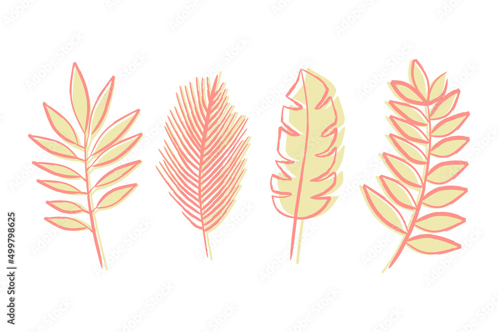 Set of exotic tropical leaves