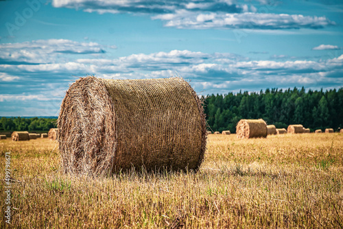 a bale of straw in the field