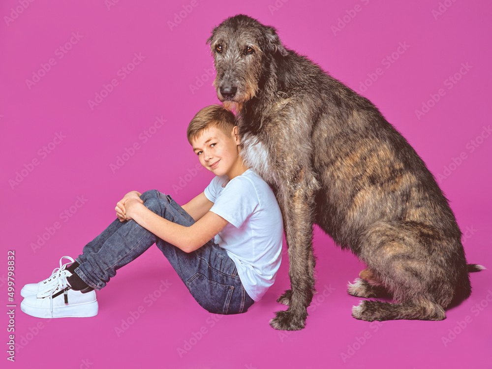 Smiling cheerful eleven years teen in white t-shirt and jeans with brown big dog on fuchsia color background in photo studio. Pets, friendship concept Smiling cheerful eleven years teen in white t-shirt and jeans with brown big dog on fuchsia color background in photo studio. Pets, friendship concept