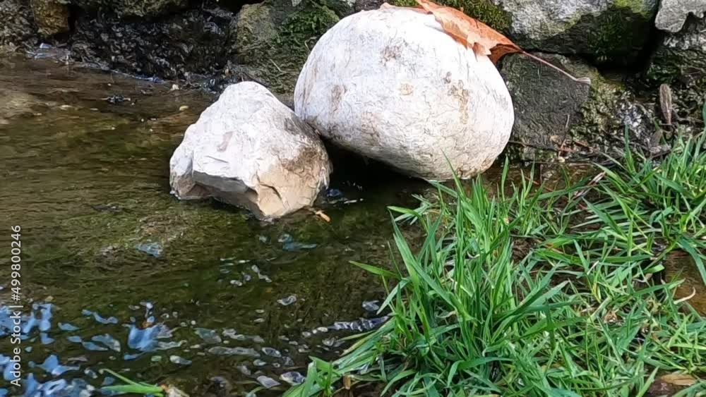 water flowing from stream in slow motion water flowing from stream in slow motion