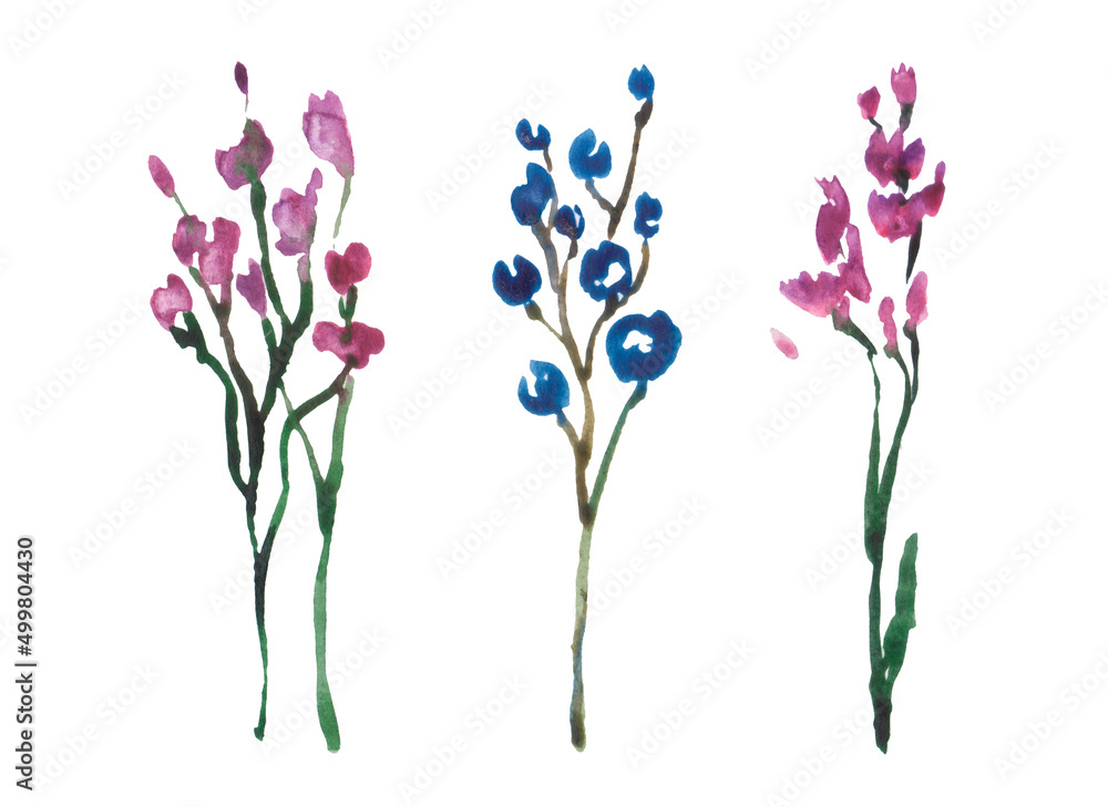 Watercolor Dry pink baby's breath flowers set isolated on white background Watercolor Dry pink baby's breath flowers set isolated on white background