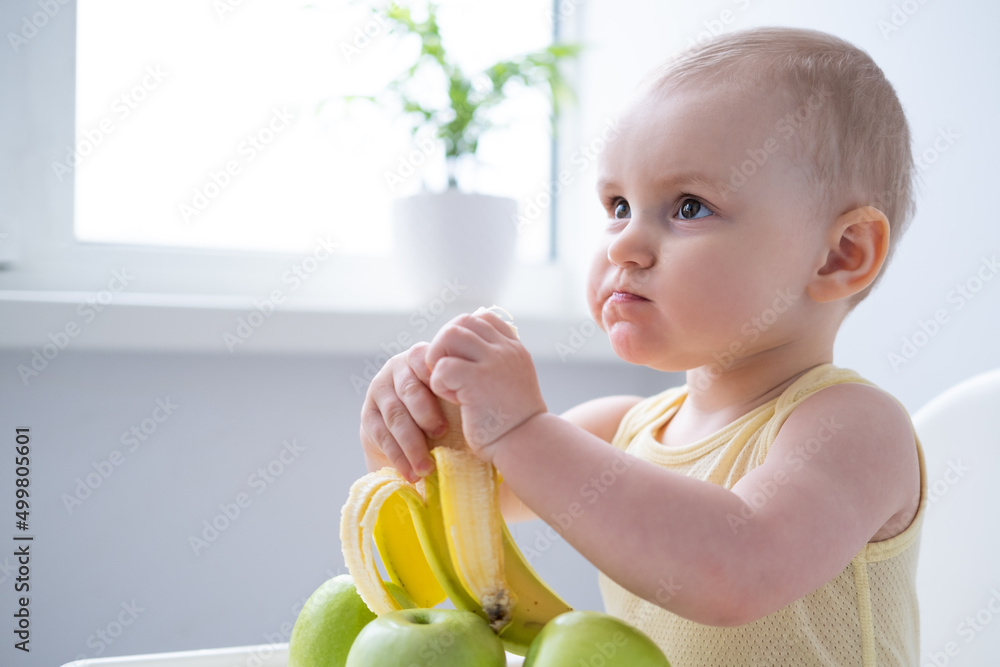 funny baby girl sitting in child chair eating banana on white kitchen funny baby girl sitting in child chair eating banana on white kitchen