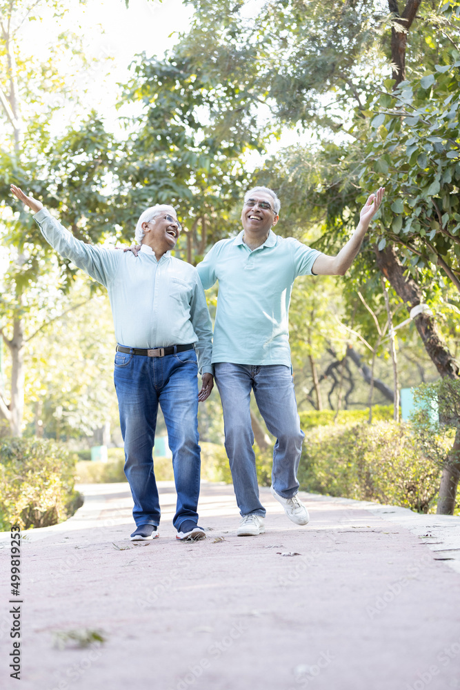 Obraz premium Happy senior men admiring view at park