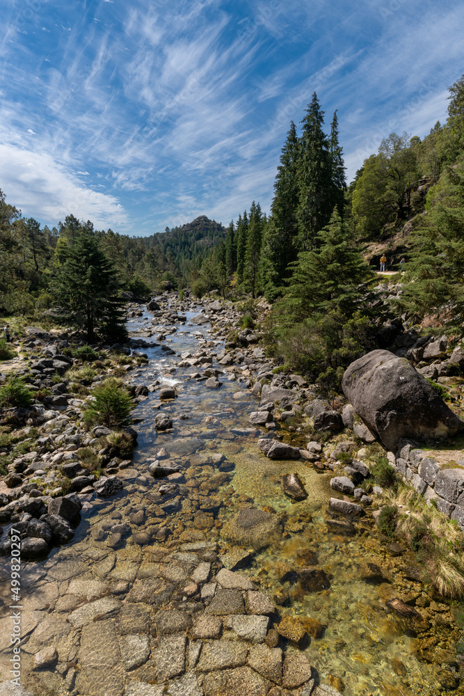 Obraz premium view of the Arado River and forest in the Peneda-Geres National Park in Portugal
