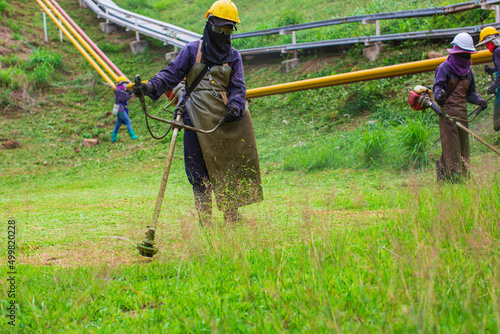 Female working wear protective clothing mows the lawn grass