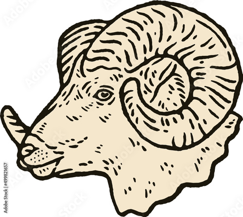 head goat vintage illustration