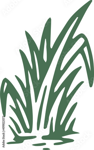 aloe vera plant flash tattoo illustration