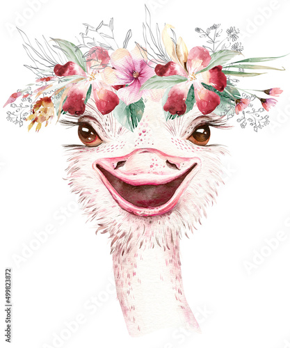 Fototapeta Naklejka Na Ścianę i Meble -  A trendy poster with a ostrich. Watercolor cartoon ostrich savanna animal illustration. Jungle savannah tropical exotic summer print