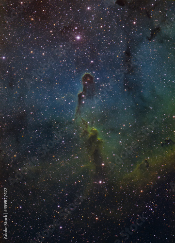 The Elephants trunk nebula (IC1396) in the constellation of Cepheus