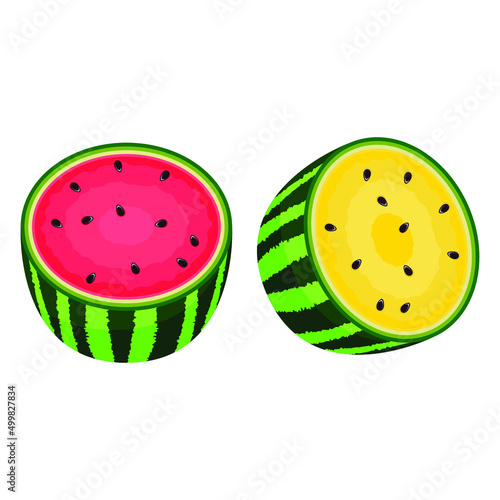 Fresh and juicy half watermelon slice. Red watermelon and yellow watermelon vector illustration