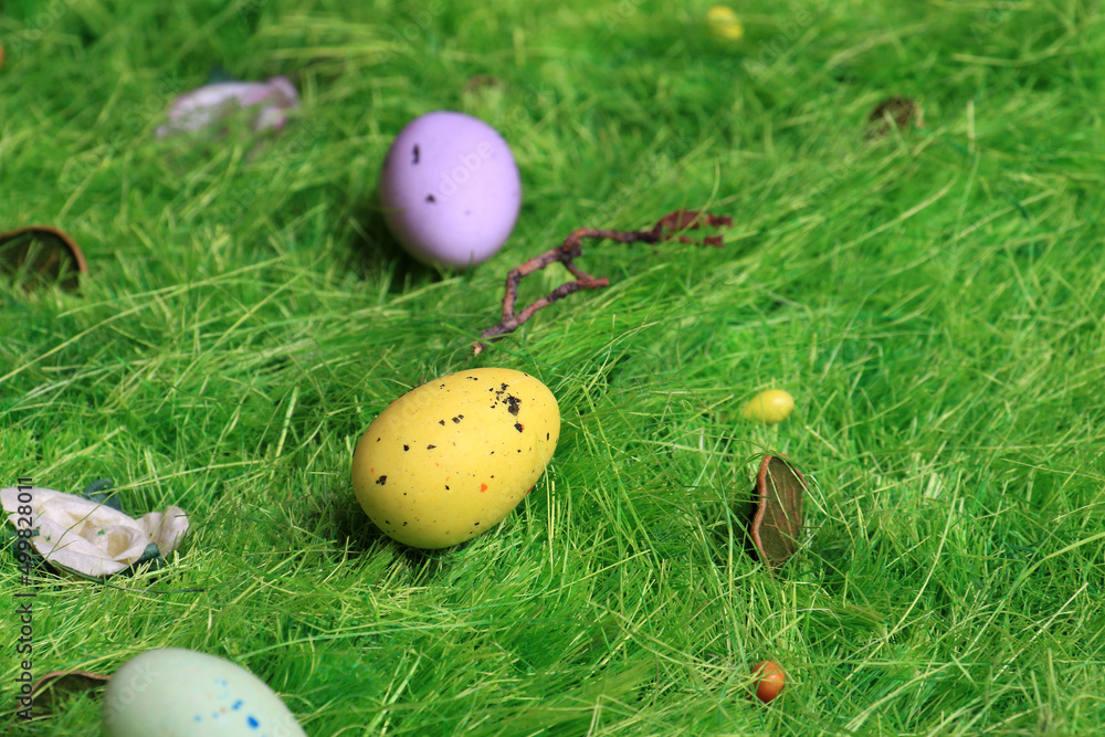 Fototapeta premium Easter Eggs on Grass