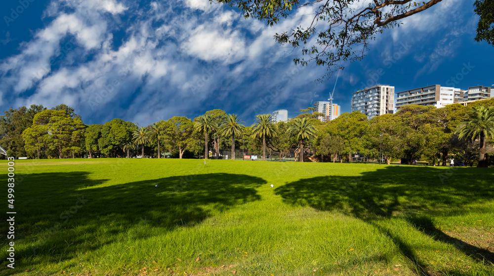 Naklejka premium View of Burwood Skyline a Sydney suburb palms trees nice buildings blue skies NSW Australia