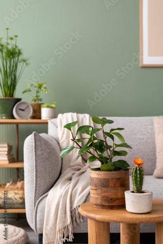 Stylish composition of cozy living room interior with design poster frames, plants, beige sofa, plaid and personal accessories in green home decor. Template. Green wall with a frame. ..