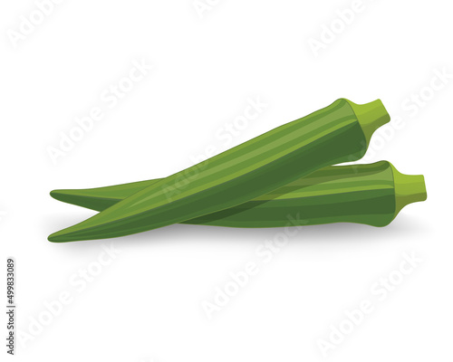 Lady Fingers or Okra Vegetable  vector illustration