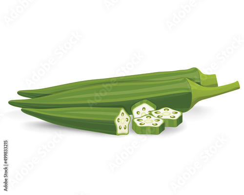 LadyFinger Okra vegetable vector illustration with okra slices and half pieces