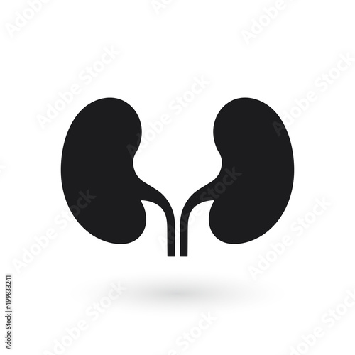 Kidney icon vector. Urology logo design template. Vector