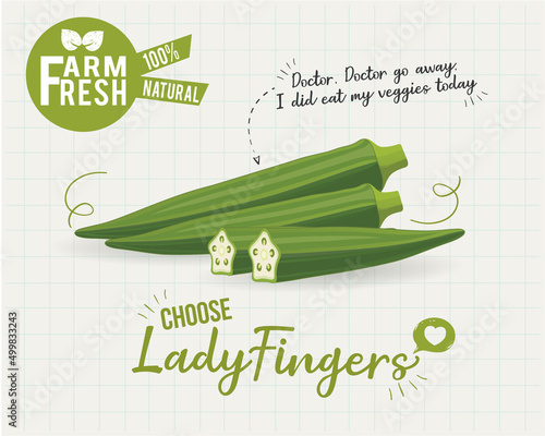 Fresh Green Okra Vegetable vector illustration with half pieces and slices of okra vegetable