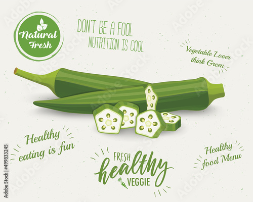 Ladyfinger, Okra Vegetable vector illustration with pieces of vegetable