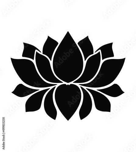 black and white lotus flower 