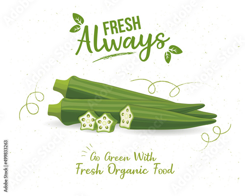 Ladyfinger, Okra Vegetable vector illustration with pieces of vegetable