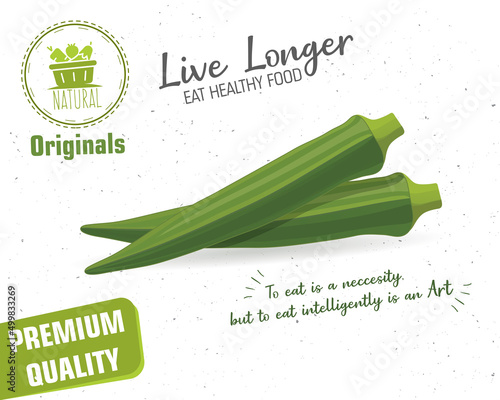 Lady Fingers or Okra Vegetable vector illustration isolated on white background