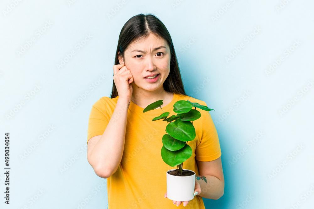 Young asian woman holding a plant isolated on blue background covering ears with hands. Young asian woman holding a plant isolated on blue background covering ears with hands.