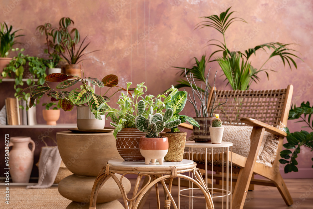 Fototapeta premium Stylish composition of creative botany living room interior with armchair, coffee table, a lot of plants and accessories. Wooden furniture, grunge walls and parquet floor. Template. 
