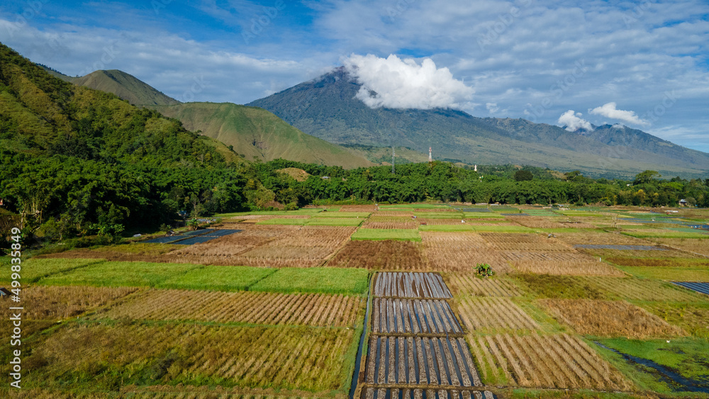 Aerial view of some agricultural fields in Sembalun. Sembalun is situated on the slope of mount Rinjani and is surrounded by beautiful green mountains. Sembalun, Lombok, West Nusa Tenggara, Indonesia. Aerial view of some agricultural fields in Sembalun. Sembalun is situated on the slope of mount Rinjani and is surrounded by beautiful green mountains. Sembalun, Lombok, West Nusa Tenggara, Indonesia.
