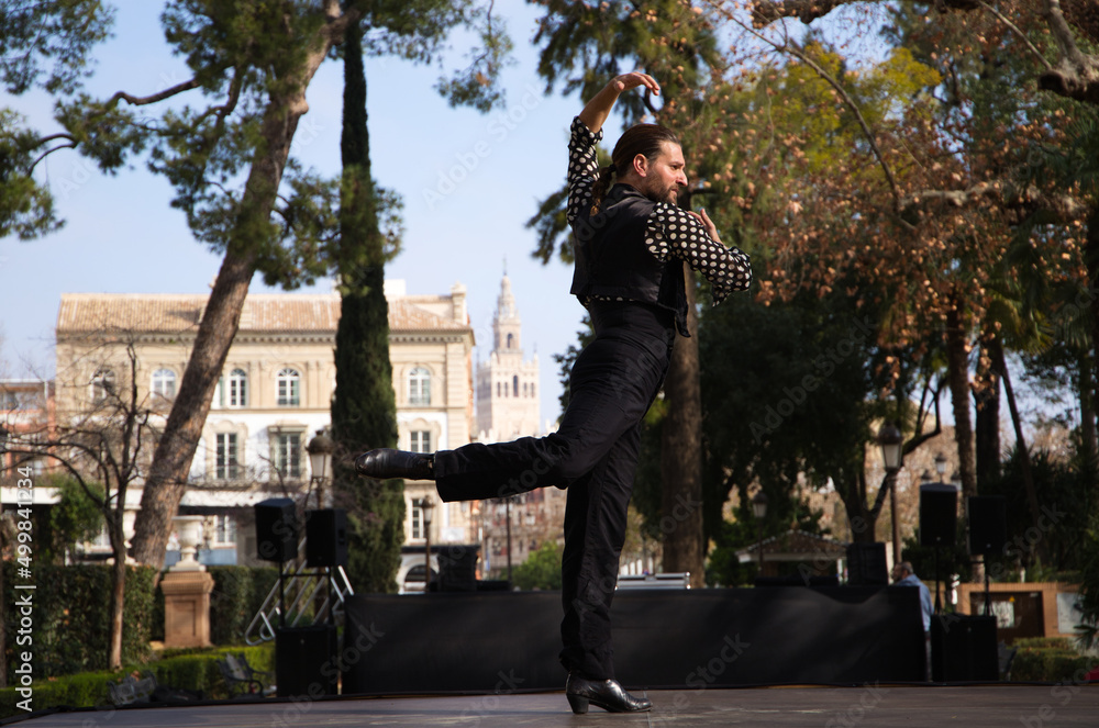 Obraz premium gypsy man with long hair dancing flamenco on an open air stage in a park in seville and he is doing different postures with a lot of passion. Flamenco dance concept cultural heritage of humanity.