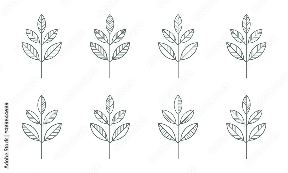 Branches icons vector set. Contour line leaves illustration isolated on white. Floral design element for print, background, banner or card. Ecology symbol, environment concept, eco sign or logo.