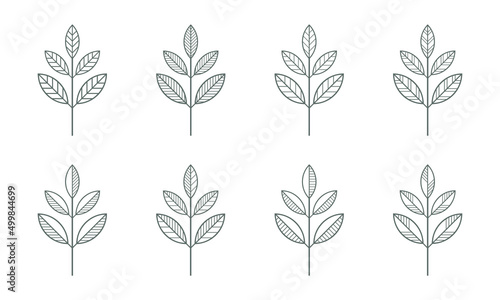 Branches icons vector set. Contour line leaves illustration isolated on white. Floral design element for print  background  banner or card. Ecology symbol  environment concept  eco sign or logo.