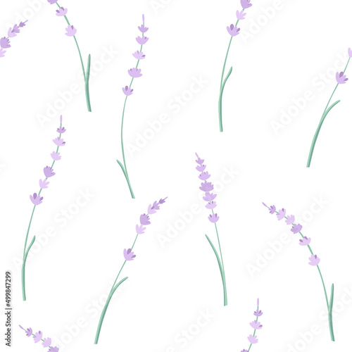 Vector seamless pattern with purple lavender and white background