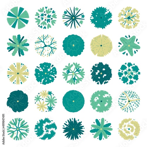 Hand drawn vector set of top view trees.