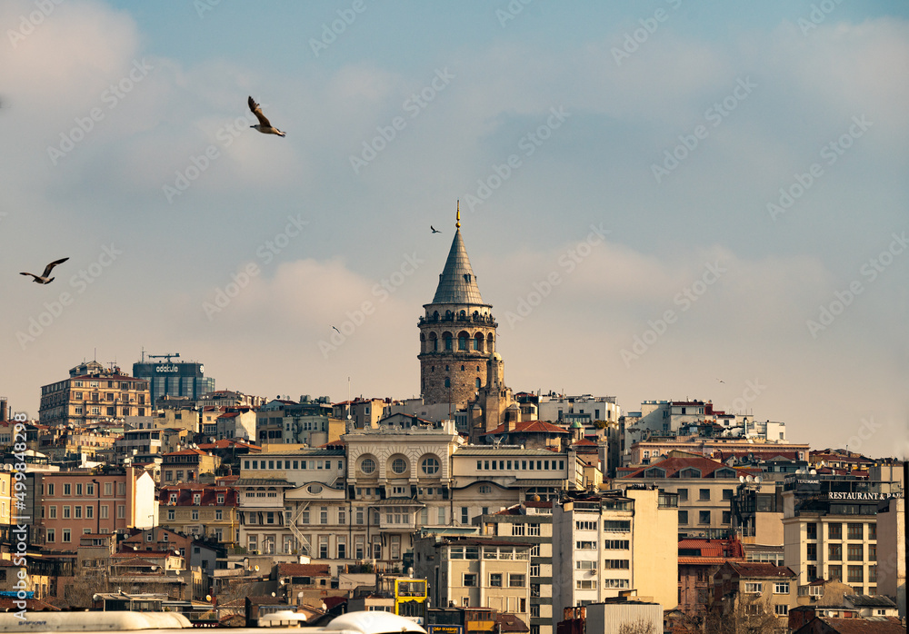 Naklejka premium galata tower