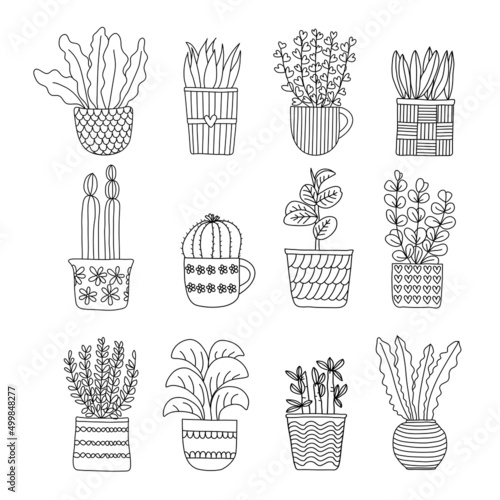 Hand drawn vector illustration of tree plant and cactus set on white background