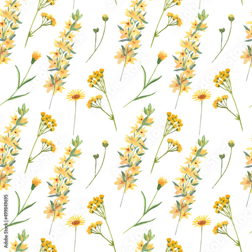 Seamless pattern with yellow wild flowers and leaves. Watercolor hand painted illustration on white. Great for fabrics, wrapping papers, wallpapers, covers. Summer textile print.