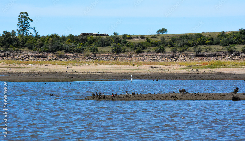A calm seascape view with various birds on a shore in Uruguay, Tacuarembo, San Gregorio de Polanco