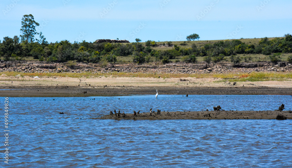 A calm seascape view with various birds on a shore in Uruguay, Tacuarembo, San Gregorio de Polanco A calm seascape view with various birds on a shore in Uruguay, Tacuarembo, San Gregorio de Polanco
