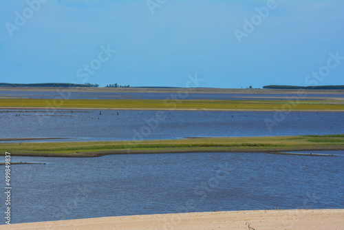 A calm seascape view with various birds on a shore in Uruguay, Tacuarembo, San Gregorio de Polanco photo