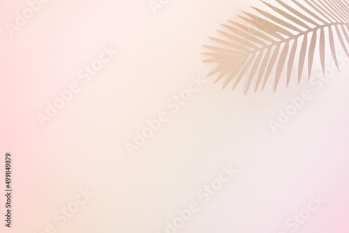 Tropical Leaf on a Pink-Beige Gradient Background. Simple Modern Composition with Paper Cut Palm Tree Leaf ideal for Banner  Card  Greetings. Top-Down View. No text.