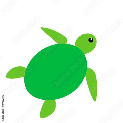 カメのイラスト