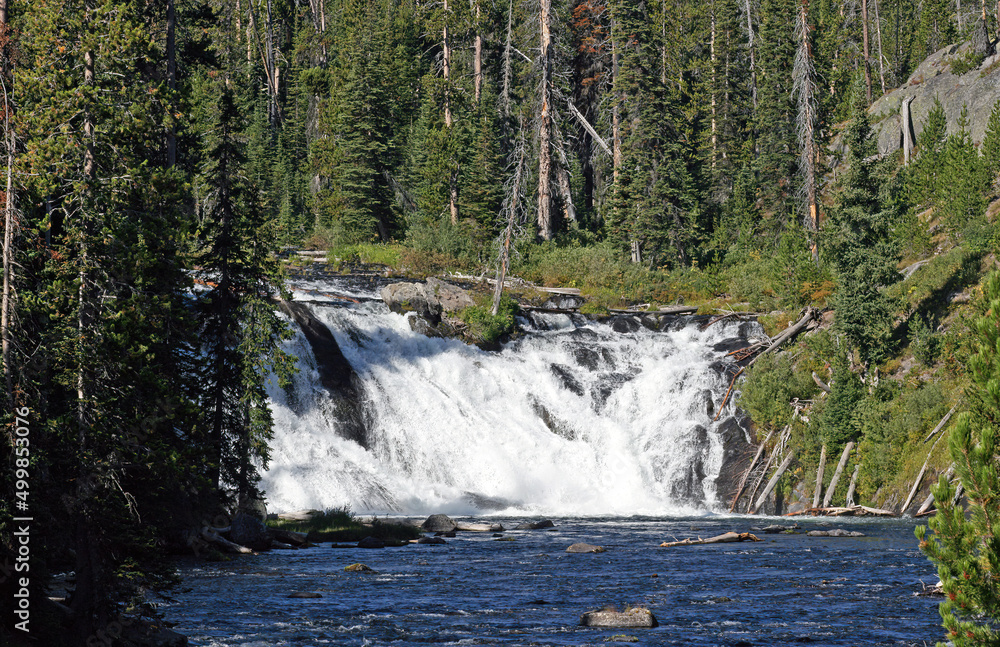 Fototapeta premium Lewis Falls, Yellowstone National Park Wyoming USA 