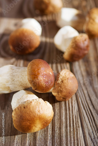 Fresh forest porcini mushrooms on a wooden old board, soft focus